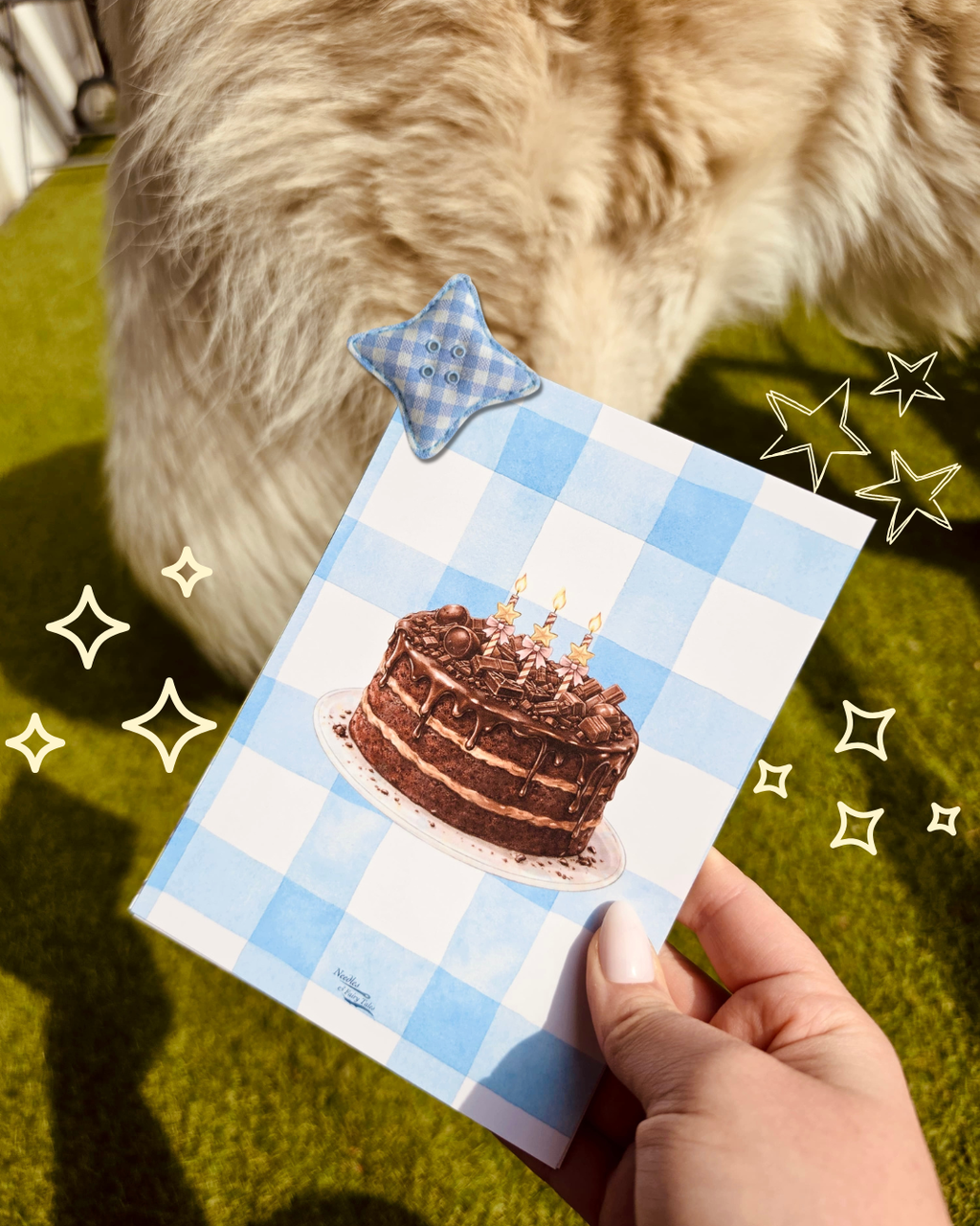 Chocolate Cake - Postcard