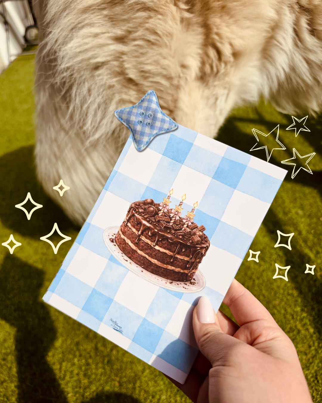 Chocolate Cake - Postcard